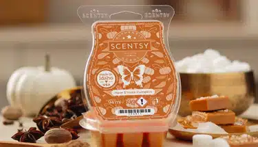 Have S'more Pumpkin Scentsy Bar - Stylized