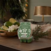 Iced Balsam Scentsy Bar