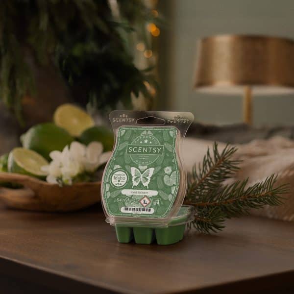 Iced Balsam Scentsy Bar