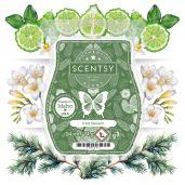 Iced Balsam Scentsy Bar Styled