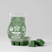 Iced Balsam Scentsy Wax Bar