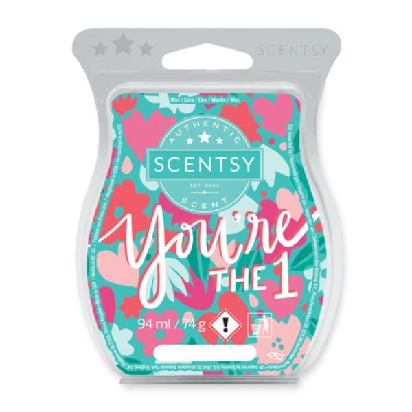 You're the 1 Scentsy Bar