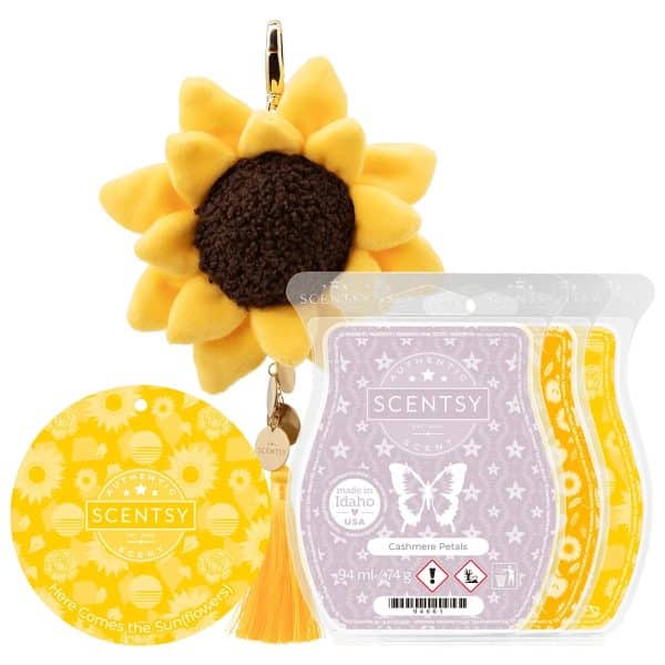 A Little Sunshine Scentsy Gift Set