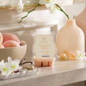 Amber & Peach Scentsy Bar