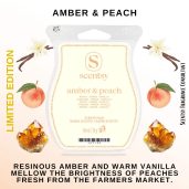 Amber & Peach Scentsy Bar