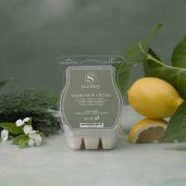 Cypress & Citron Scentsy Bar Styled