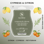 Cypress & Citron Scentsy Wax Bar