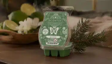 Iced Balsam Scentsy Bar - December Scent Of The Month