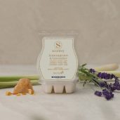 Lemongrass & Lavender Scentsy Bar Styled