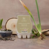 White Tea & Cedar Scentsy Bar Styled