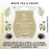 White Tea & Cedar Scentsy Wax Bar