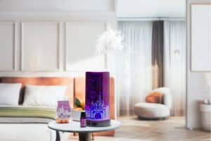 Scentsy Disneyland Resort 70th Anniversary Celebration Collection