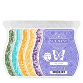 Spa Day Scentsy 6-Bar Bundle
