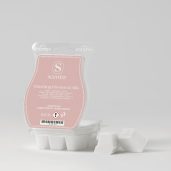 Blushing Blooms & Silk Scentsy Bar