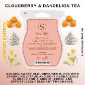 Cloudberry & Dandelion Tea Scentsy Wax Bar