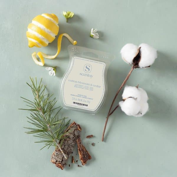 Cotton Blossom & Cedar Scentsy Bar Styled Cotton Blossom & Cedar Scentsy Bar