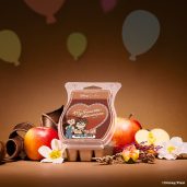 Disney Carl & Ellie Scentsy Wax Bar Melt Styled