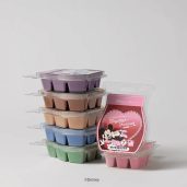 Disney Love Stories – Scentsy Wax Collection