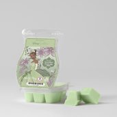 Disney Tiana Work Hard, Dream Big – Scentsy Bar Melt