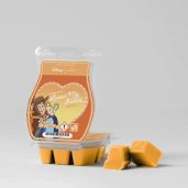Disney Woody & Bo Peep: Lasso My Heart – Scentsy Bar