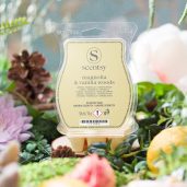 Magnolia & Vanilla Woods Scentsy Bar