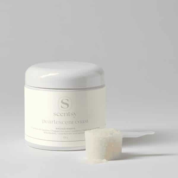 Pearlescent Coast Scentsy Washer Whiffs
