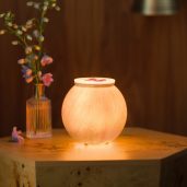 Sanded Linea Scentsy Warmer Styled