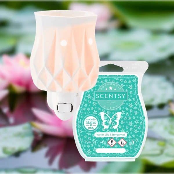 Scentsy Alabaster Gift Bundle