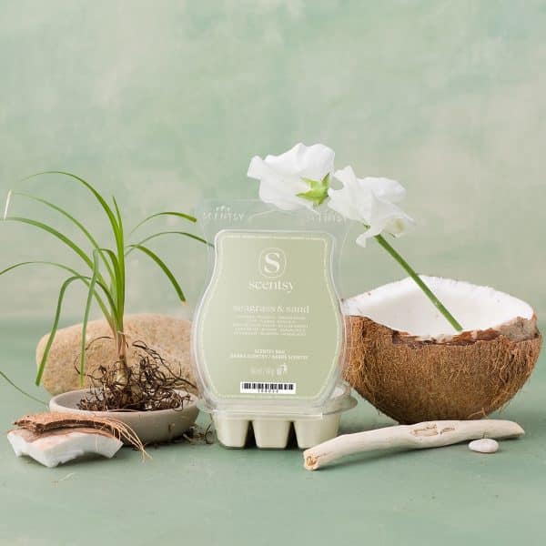 Seagrass & Sand Scentsy Bar Styled Seagrass & Sand Scentsy Bar Styled