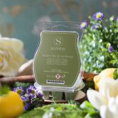Water Lily & Verbena Scentsy Bar