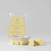 Wild Citrus & Sugarcane Scentsy Wax Bar Melt