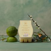 Wild Honeysuckle & Willow Scentsy Bar