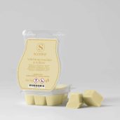 Wild Honeysuckle & Willow Scentsy Wax Bar Melt