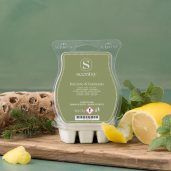 Breeze & Balsam Scentsy Bar Styled