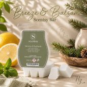 Breeze & Balsam Scentsy Wax Bar Melt