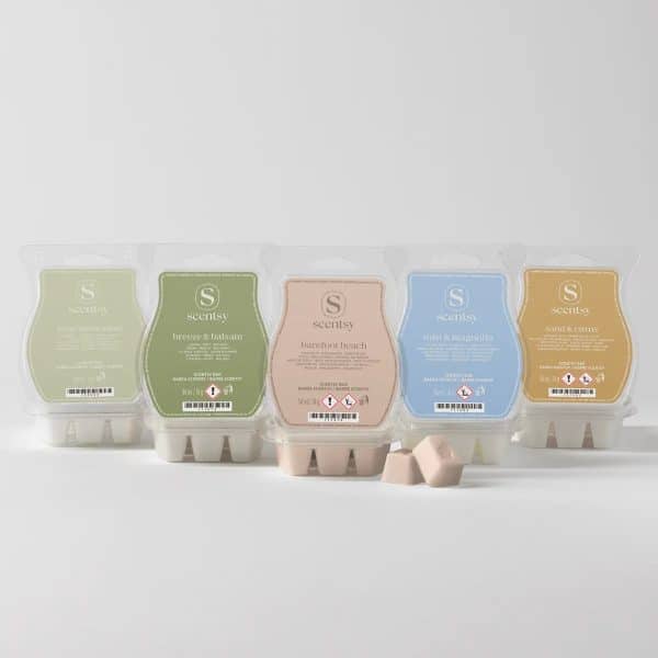 Coastal Scentsy Bar 5-pack