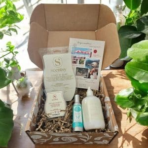 Scentsy June Whiff Box July Scentsy Whiff Box