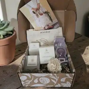 May Scentsy Whiff Box