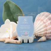 Mist & Magnolia Scentsy Bar