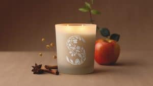 Scentsy Candles