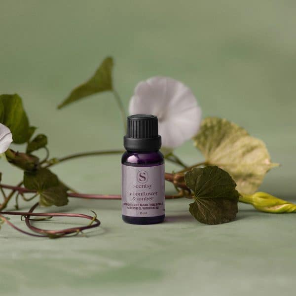 All Scentsy Diffuser Oils