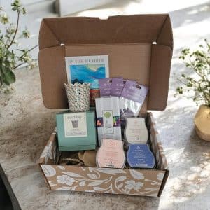 Scentsy June Whiff Box June Scentsy Whiff Box
