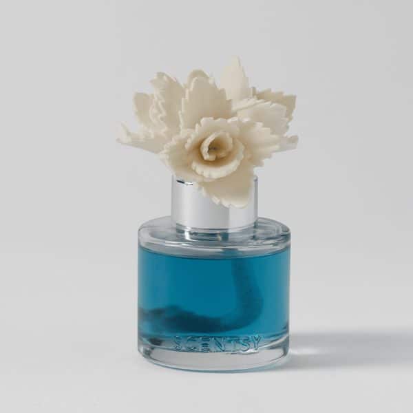 Serene Succulent Scentsy Fragrance Flower