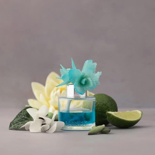 Serene Succulent Scentsy Fragrance Flower Styled Serene Succulent Scentsy Fragrance Flower Styled