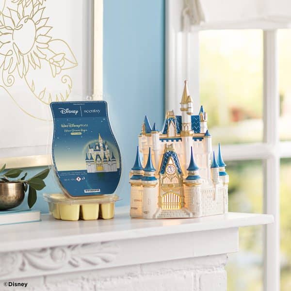 Walt Disney World Cinderella Castle & Where Dreams Begin Bundle