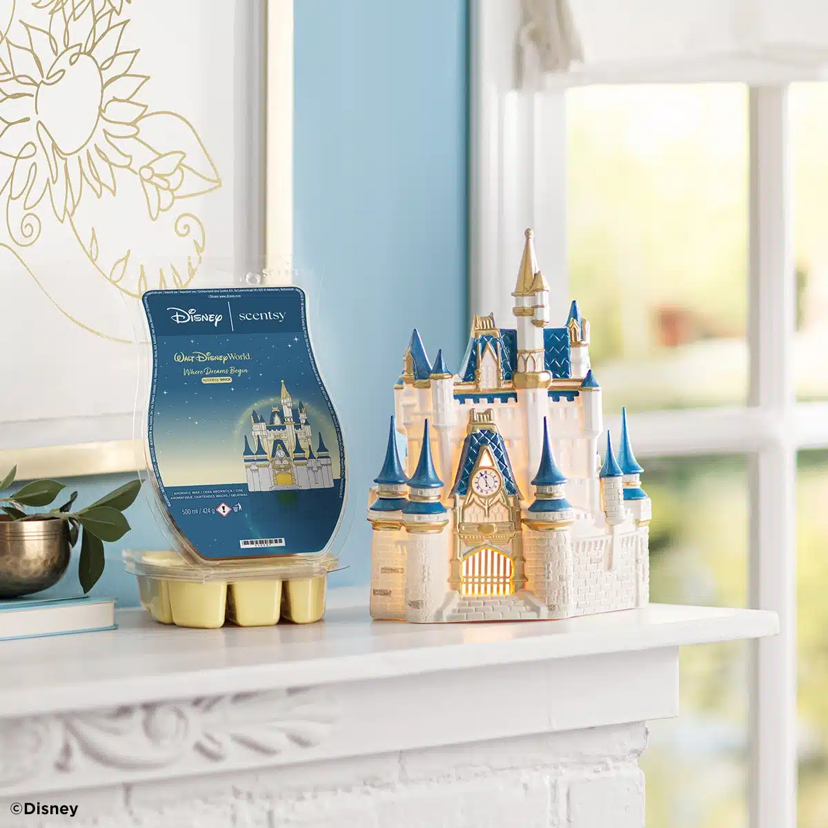 Walt Disney World Cinderella Castle & Where Dreams Begin Bundle