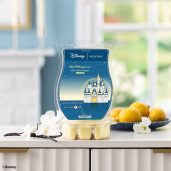Walt Disney World Where Dreams Begin – Scentsy Brick