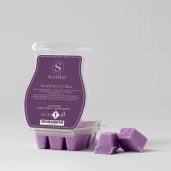 Blackberry Chia Scentsy Wax Bar
