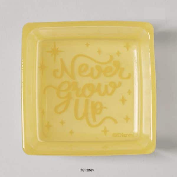 Disney Peter Pan Flight to Never Land – Scentsy replacement dish Top View