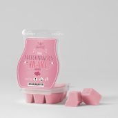 Emma Matchmaker’s Heart Scentsy Bar